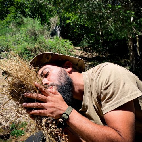 stage de survie bushcraft débutant région parisienne