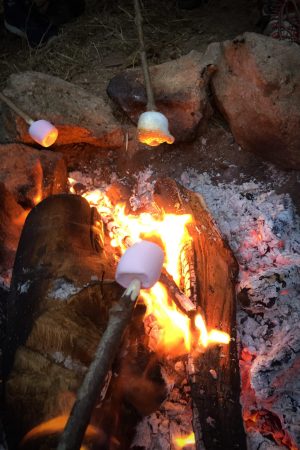Stage de survie - stage bushcraft