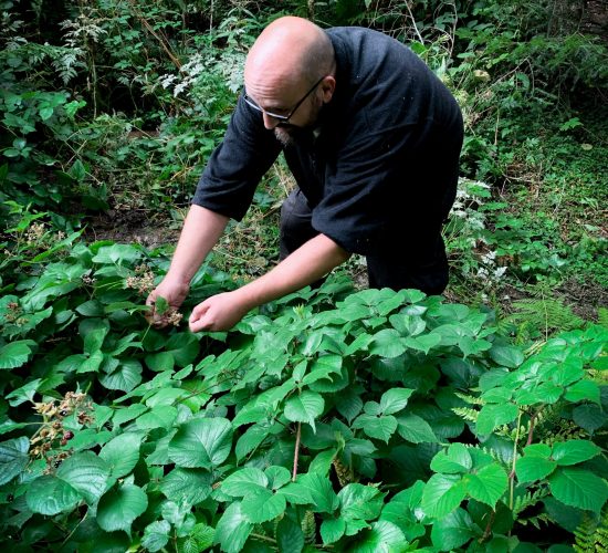 Notre ADN l'art de coopérer avec la nature